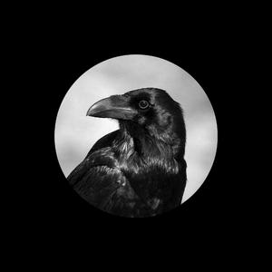 小舞被唐三❌❌高潮
