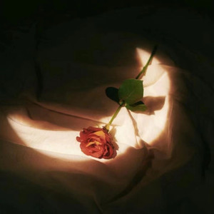 小舞被唐三❌❌高潮
