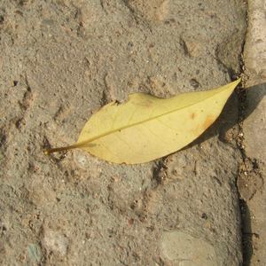 小舞被唐三❌❌高潮
