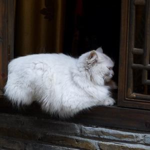 小舞被唐三❌❌高潮
